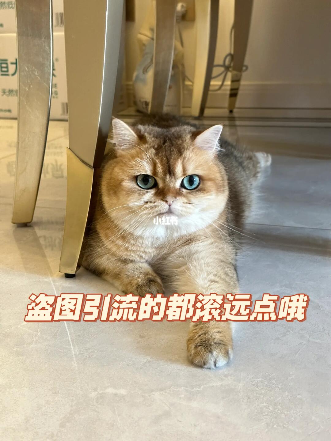 如图
