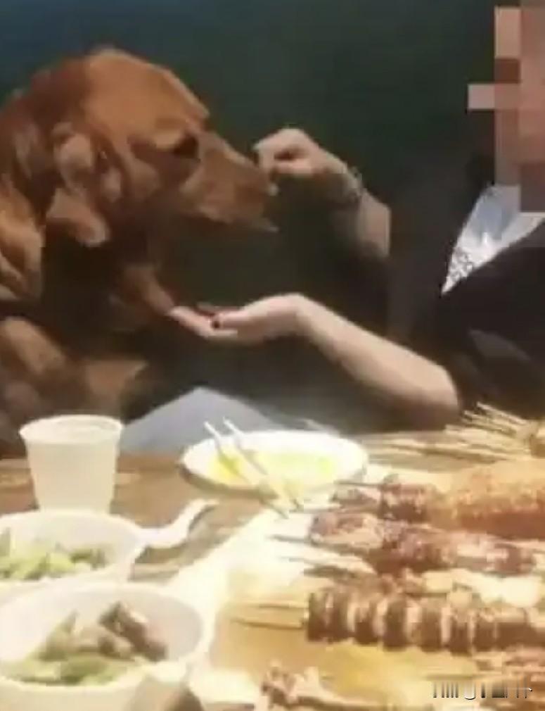 不知道别人怎么看，金石滩某烧烤店狗撸串这事 。
但是我要是进任何人吃饭的地方，发