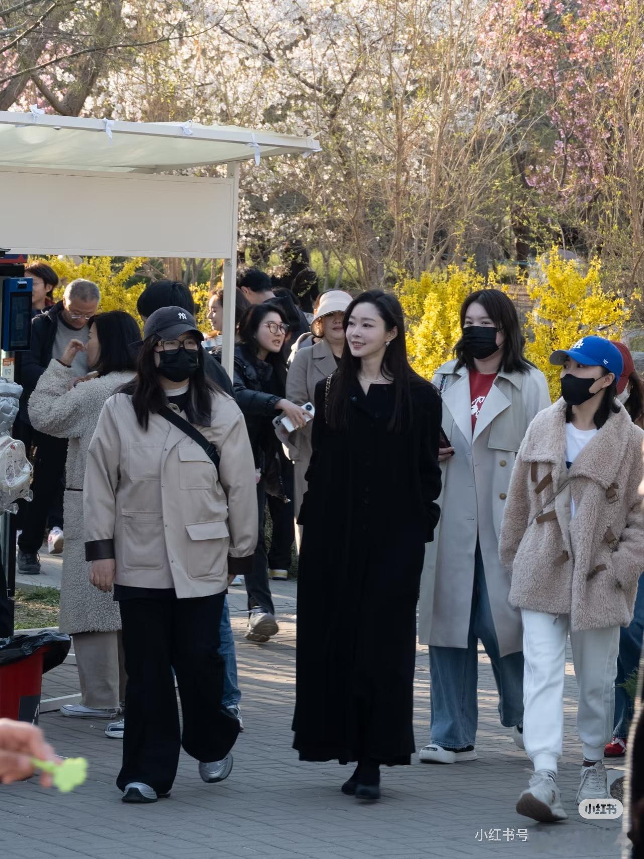 玉渊谭偶遇宋轶 漫步玉渊谭，偶遇美女宋轶，真人比想象中还要温婉可人，气质高雅，身