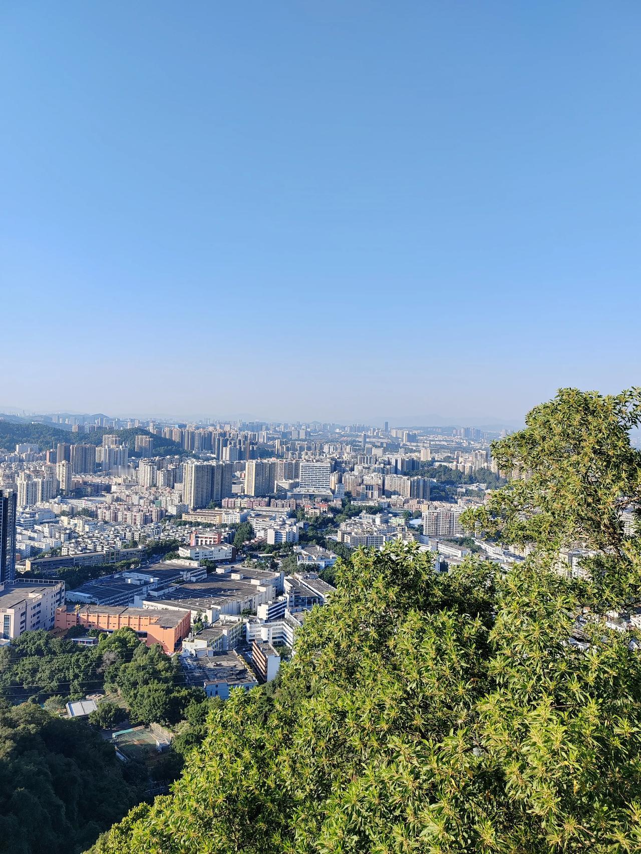 深圳缺大学，但是不缺房子，收购一片房子挂牌就是大学，为什么都要盖房子？我？不明白