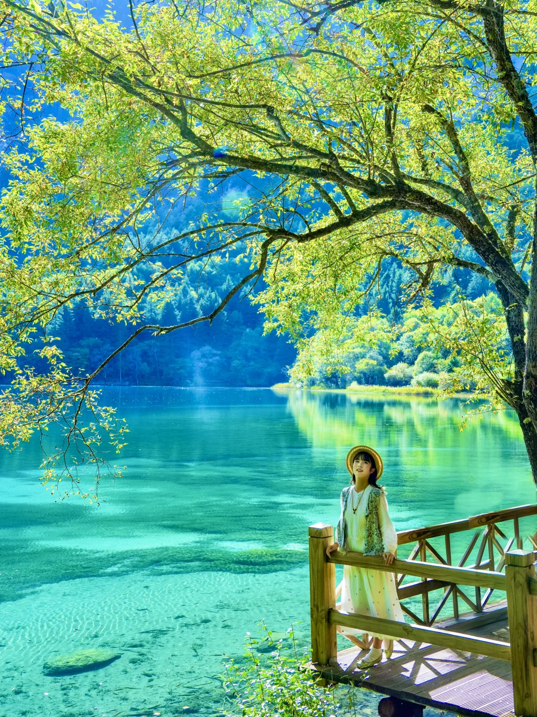 刚回来！成都勇闯🚅九寨沟一日游详细攻略！