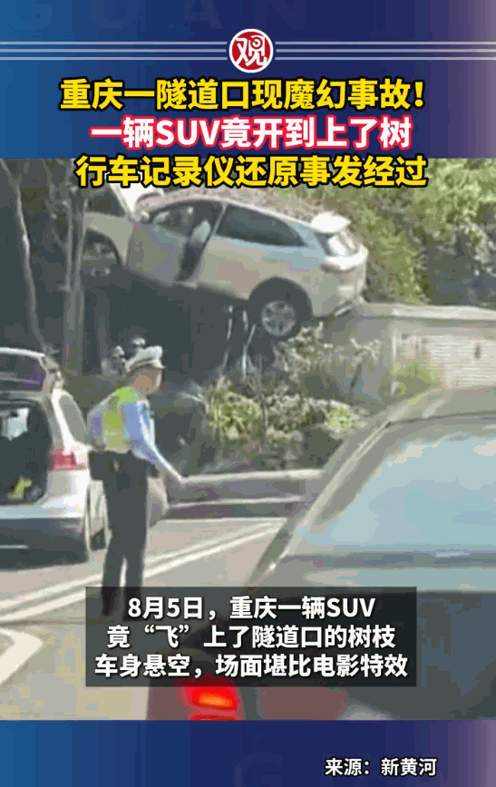 高手在民间！重庆一隧道口，一辆白色SUV竟腾空飞起，严丝合缝地卡在树枝与变电箱之