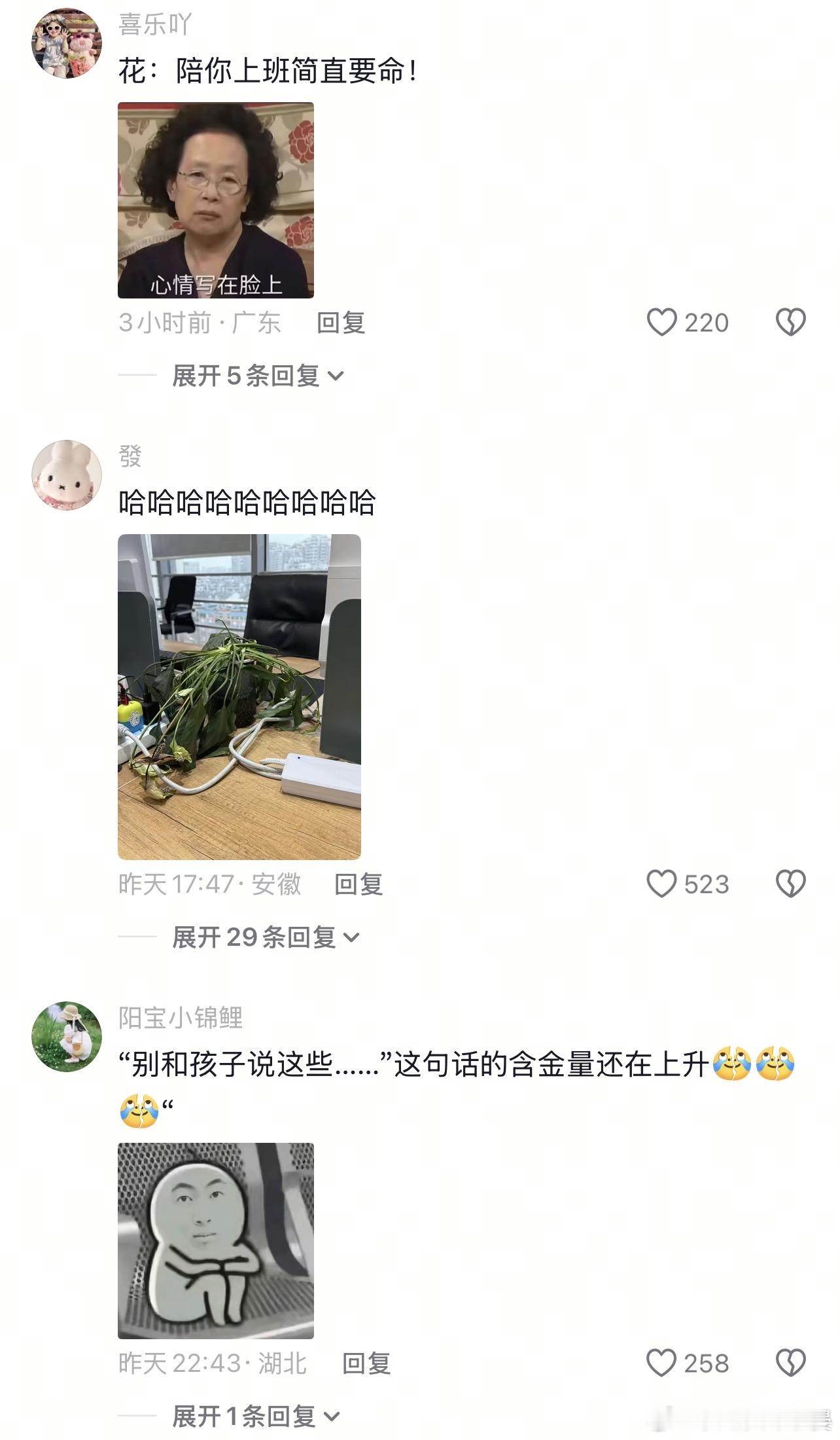 🌸：净说些不爱听的
