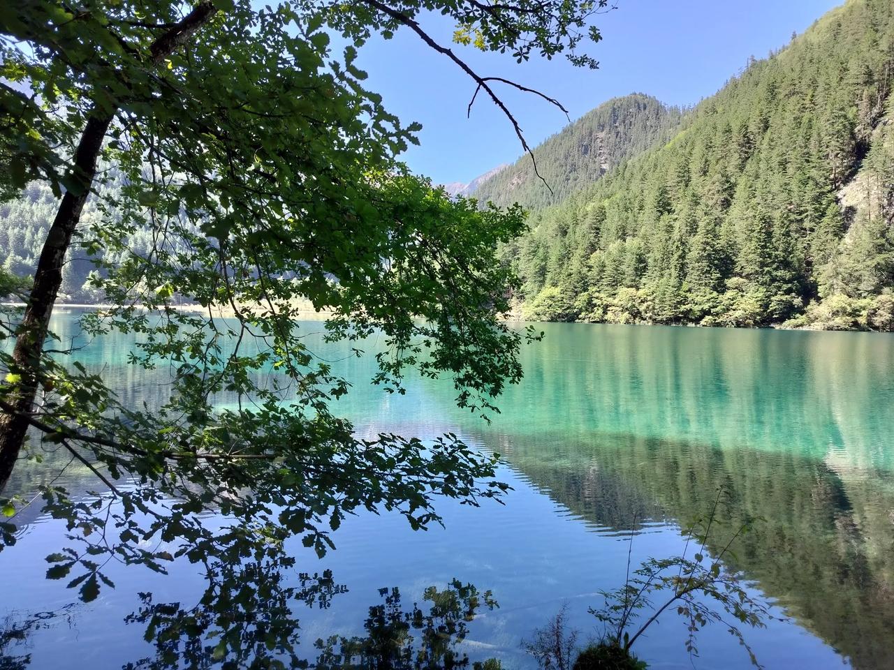 天南地北大拜年中奖