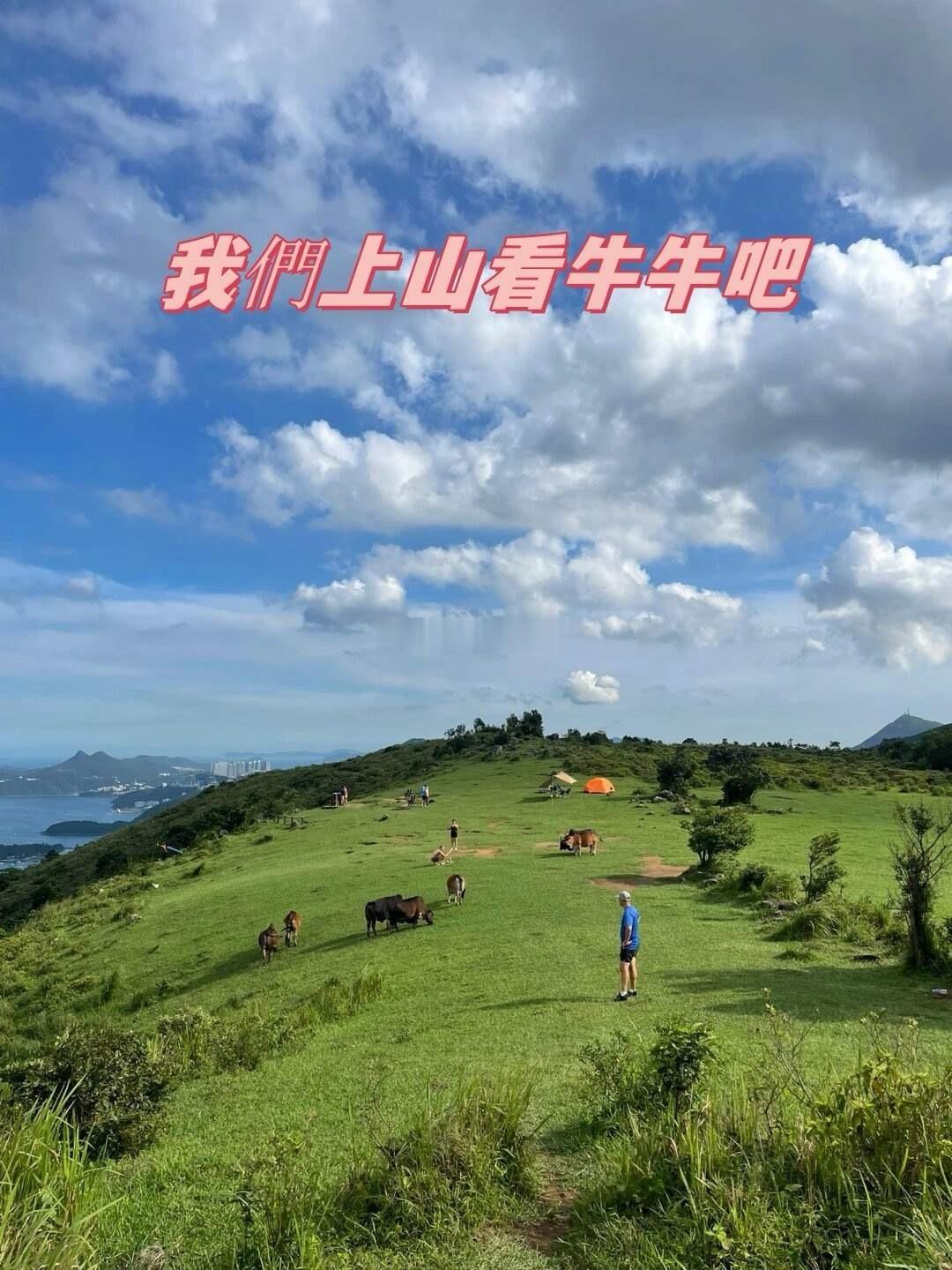 【没办法】看好的龙一龙二龙三之类基本上都会涨停，从实战性出发，也许只能说龙四龙五