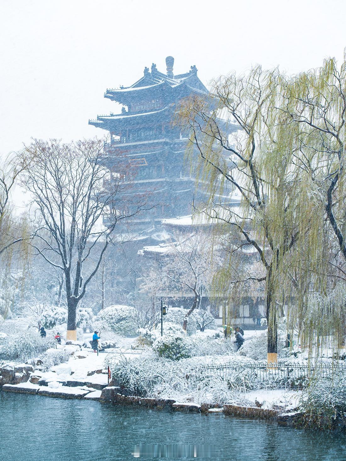 一下雪❄️泉城就变成了济南府！雪中的大明湖，静谧而神秘，仿佛是一个远离尘嚣的世外