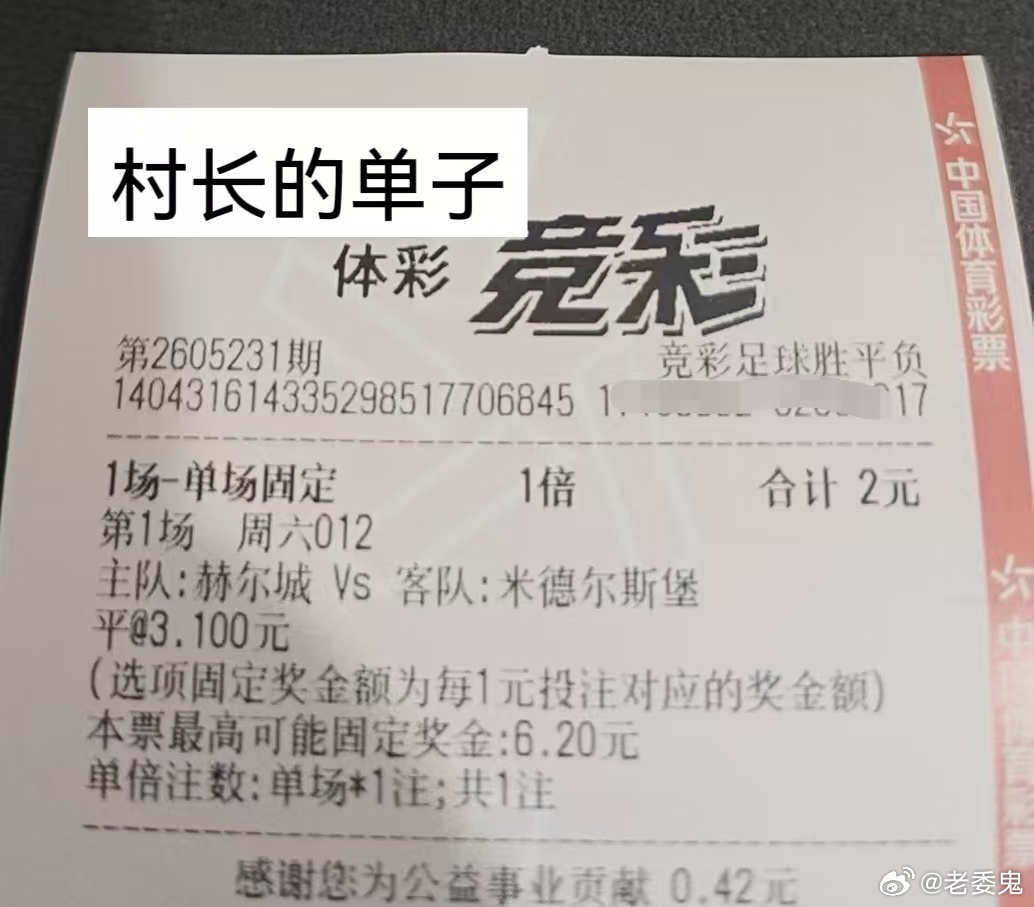 2+4 周末23号 