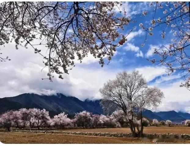 上联：流雲飞花轻似梦，
下联：邀请雅对？