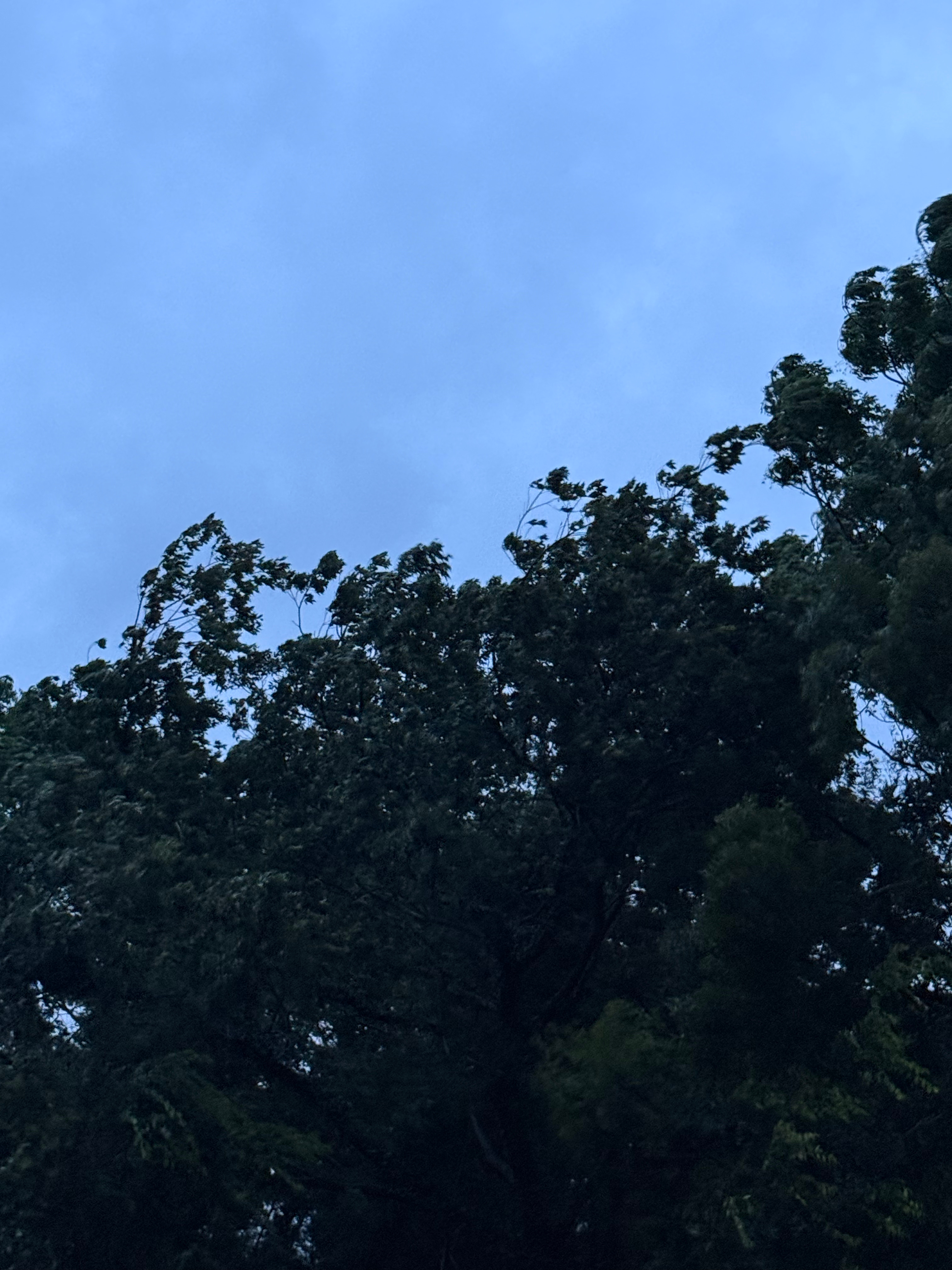 我是巴威，我重生了。上一世我在江浙沪丢尽脸面，被大家嘲笑只是二档电风扇。这一世，