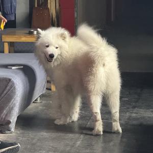 苇丛听蛙鼓