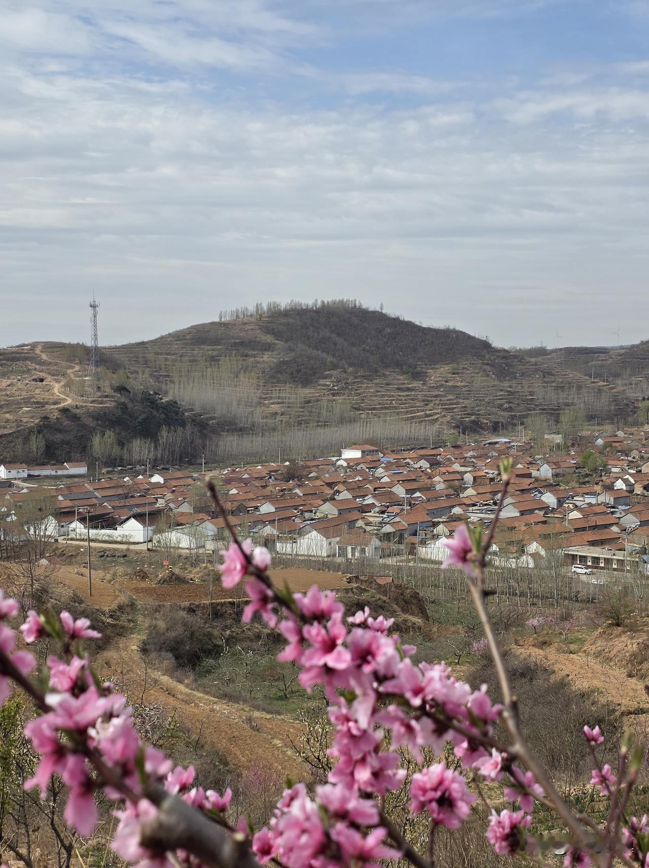 差点策反一个同事，被他老婆截胡了，他老婆一句话，说得我哭笑不得…………

同事比