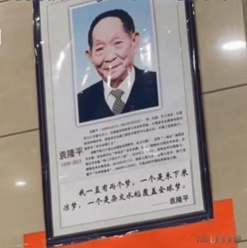 兰州一家餐馆挂着钱学森、袁隆平的照片，网友纷纷表示：“这才是真正的明星”！
餐馆