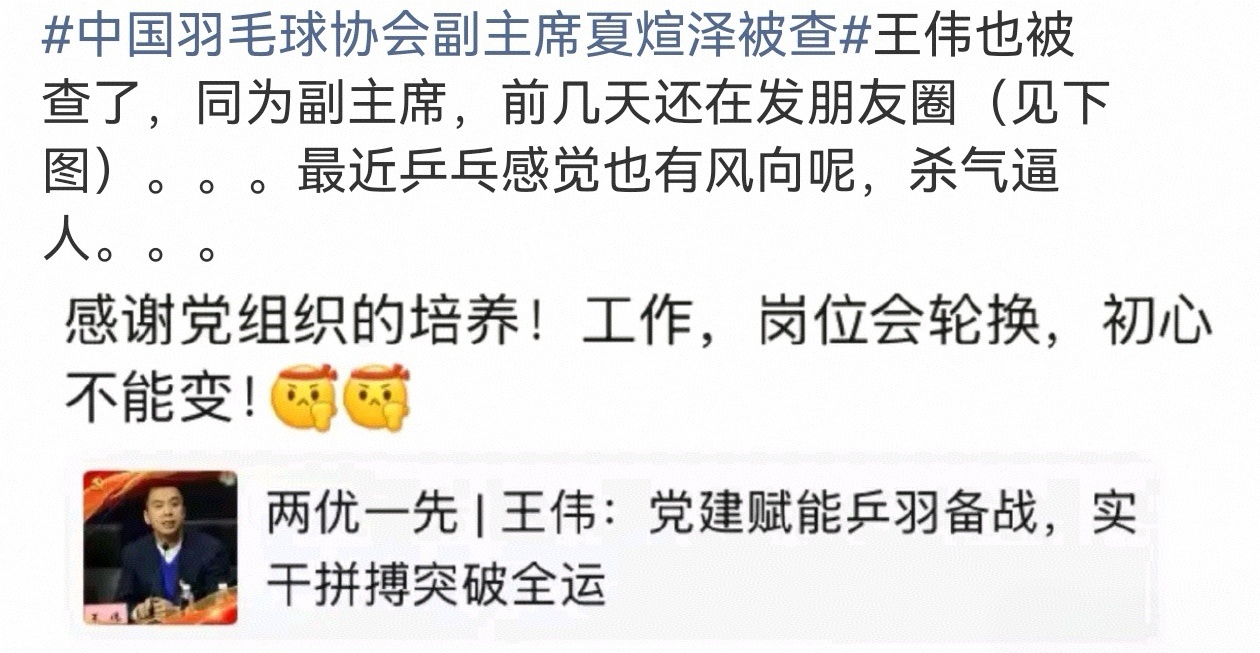 8月31日，中国羽毛球协会副主席夏煊泽、原副主席兼秘书长王伟二人同步被查。此前的