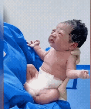 宝宝:怎么在这了？
他先两手一摊，然后两手再一抱。把他所有想要表达的都表达了，就