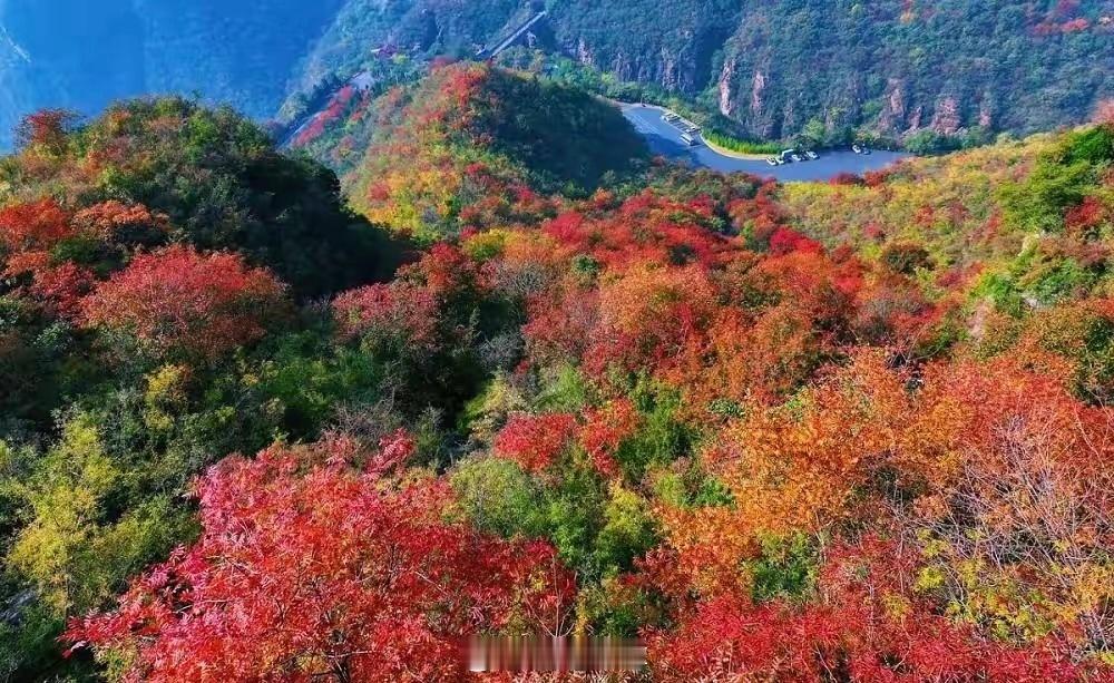 在股市中，绝大部分人追求快速暴富，却往往陷入贪婪的圈套。一个实用的策略是：设定每
