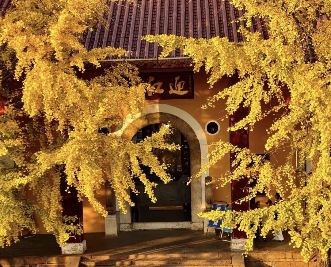 【贫寒休要怨，富贵不须骄；善恶随人作，祸福自己招】
        “贫寒休要怨