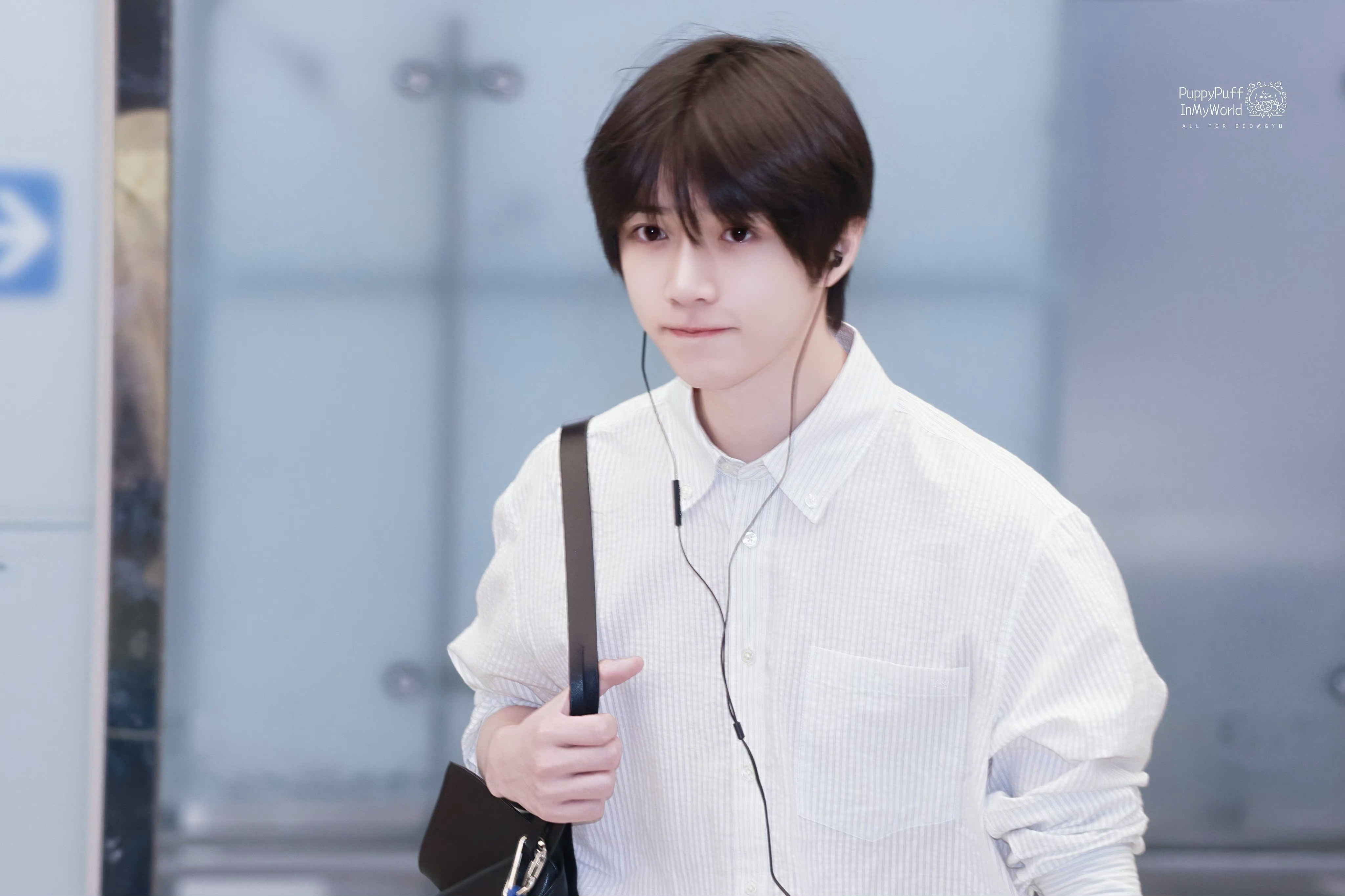 高中生领养指南 