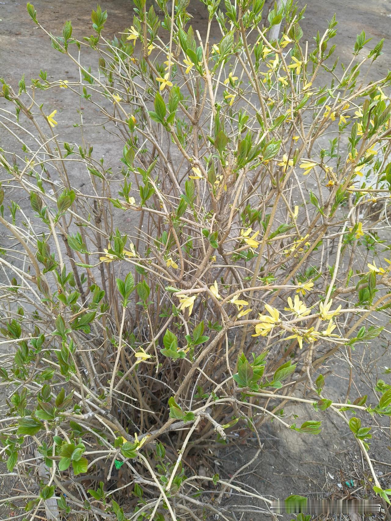 今天赚了100元[大笑]

和朋友聊天，
我说今天赚了100元，
对方很诧异的问