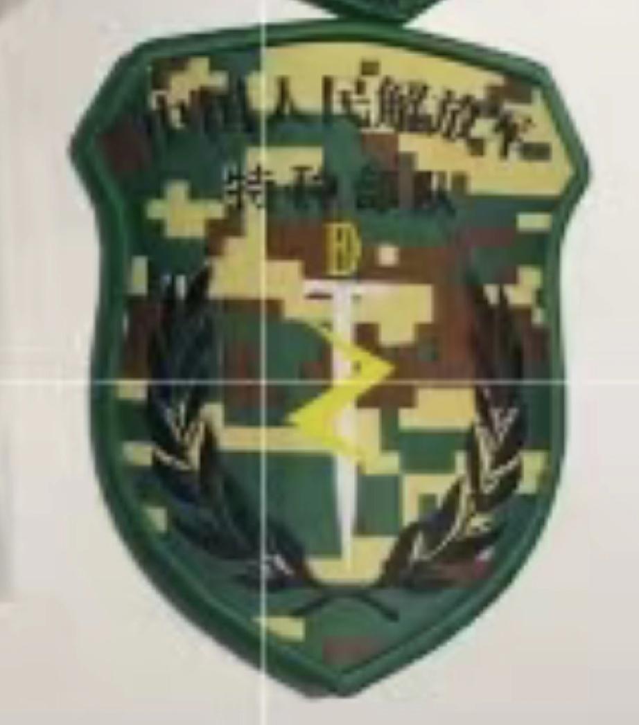 中国人民解放军特种部队臂章