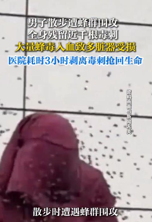“太吓人了！”9月16日报道，湖北嘉鱼，一男子散步时，突然被蜂群围攻，他被扎得惨