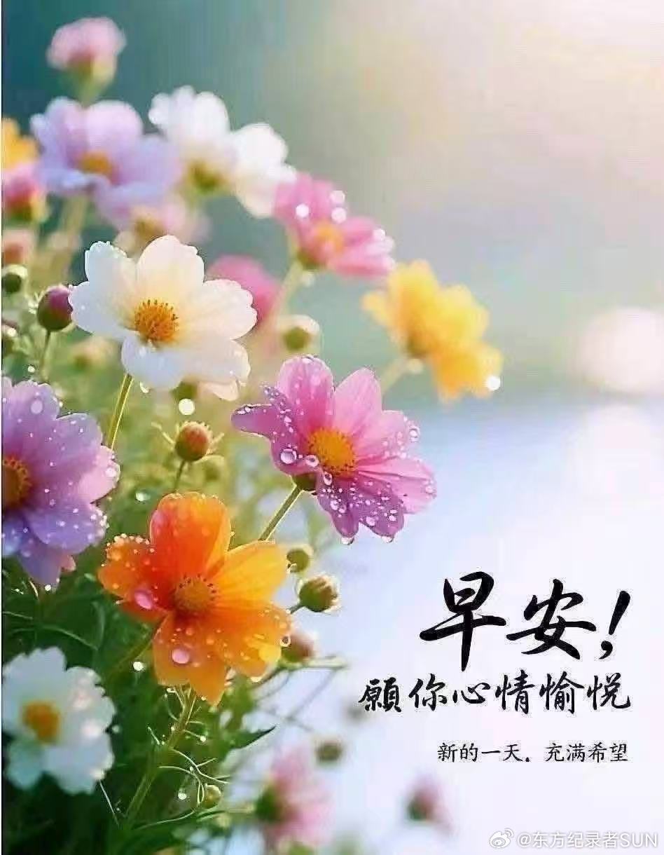 ＊人这一辈子，热闹是暂时的，安静才是常态。安静时正好读书、记录、自愈、生长。我每