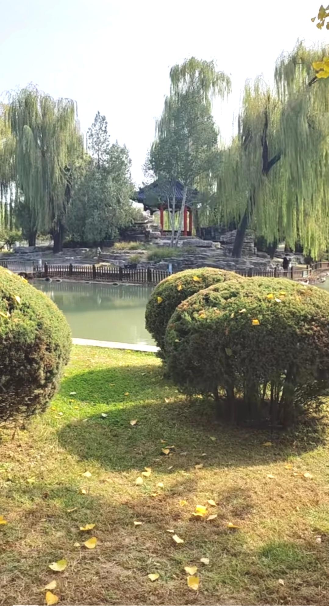 因为你不够勇敢错失过哪些事情？
勇敢真是个珍贵的品质。我想起豆瓣和搜狐网那个话题