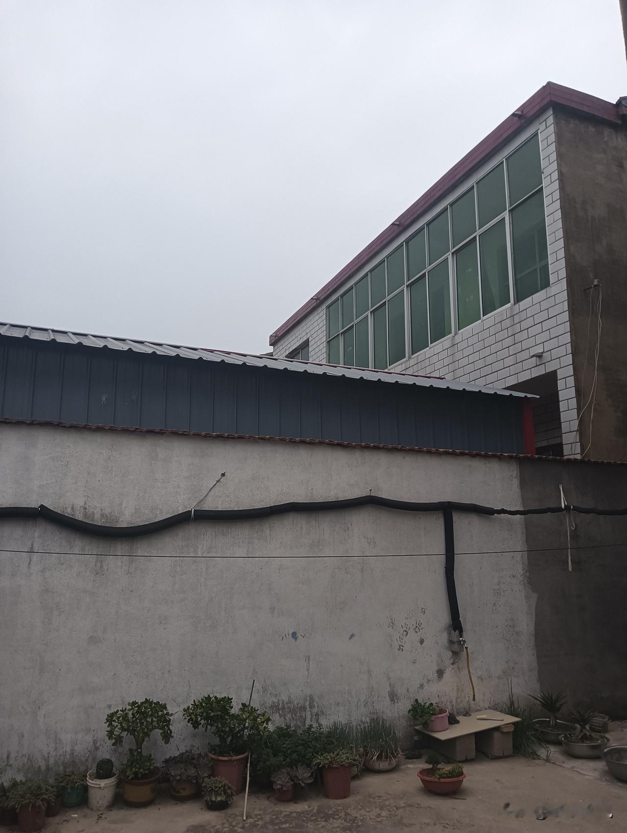 小院一隅，有绿植相伴的时光太美妙。就像遂宁的临仙底层茶院，推开素木门，仿佛进入另
