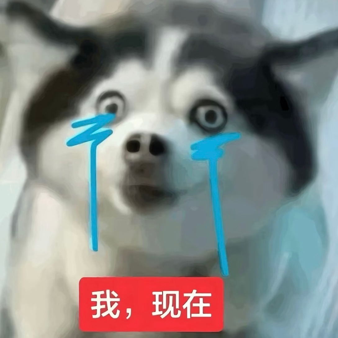 卧槽 小画师为什么不回我消息 ​​​
