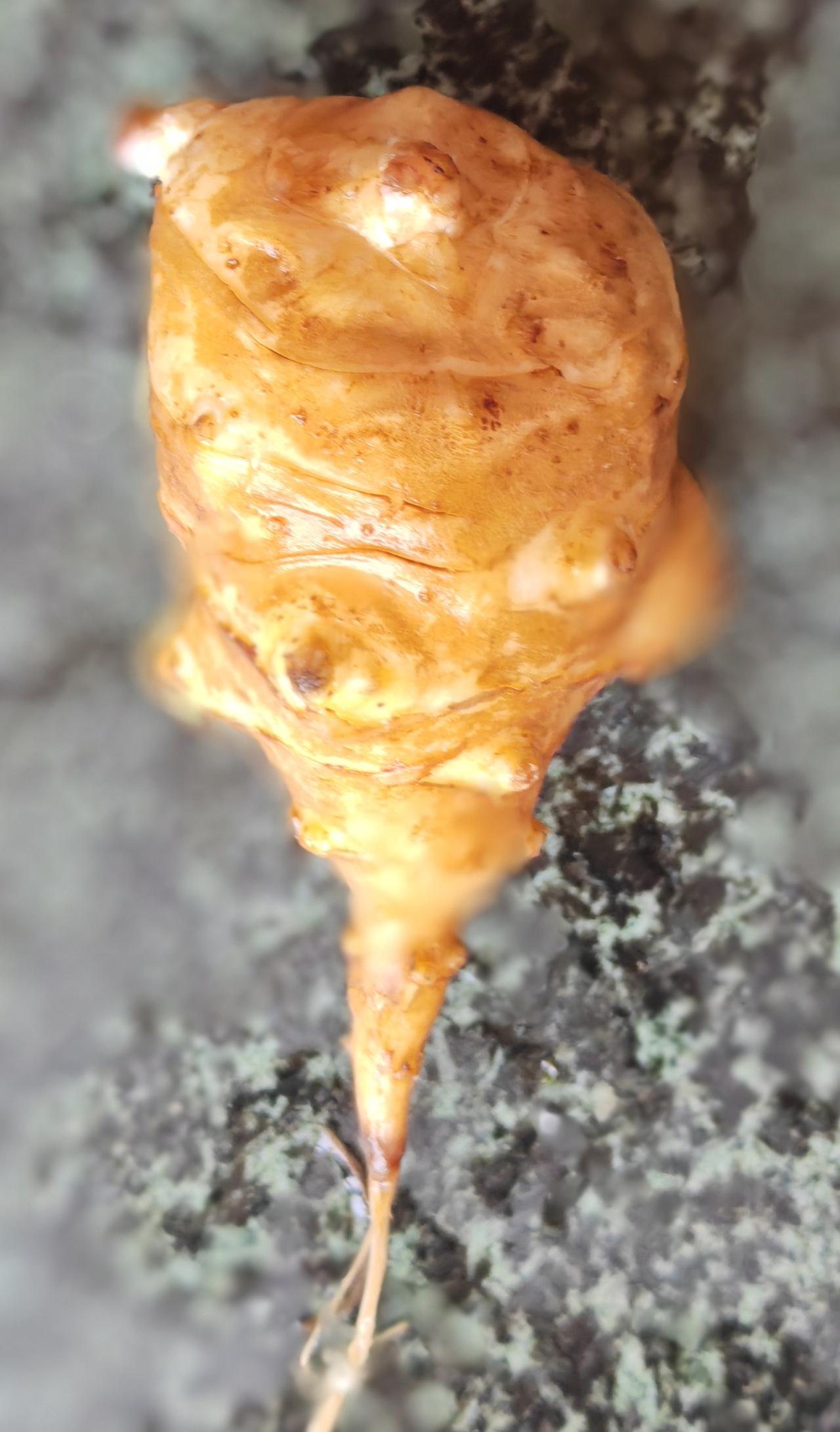 时间过得真快，一晃一天过去了
      每天都在想着励志，晚上打算好好，准备第