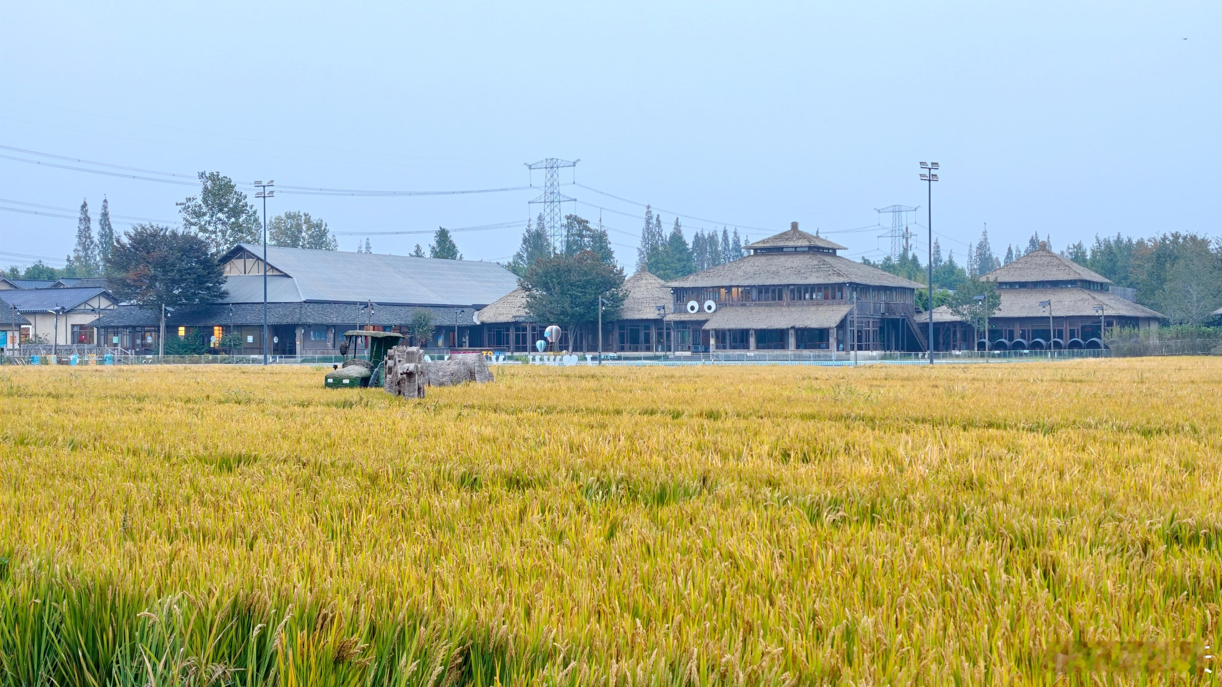 丰收的季节🍉🍉🍉一条plog告别十月 ​​​