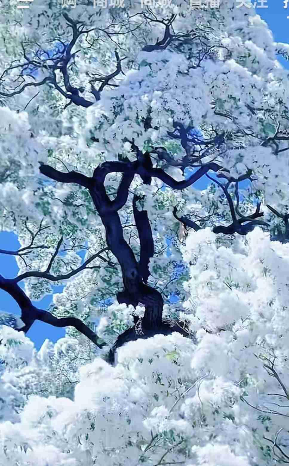 带定位晒今日生活 今日走向旅行度旅途，我这儿天气是多云，没有烈日的炙烤，也不会有