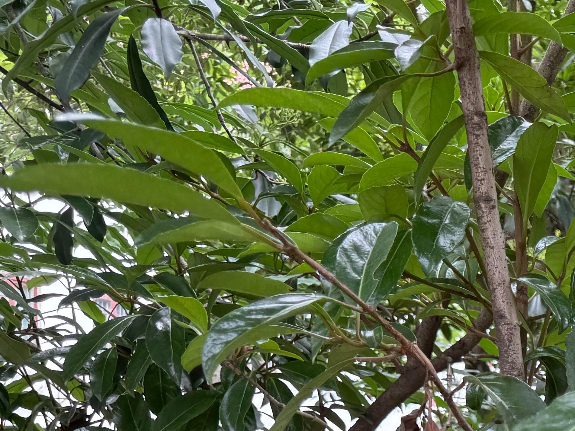 关爱自然：捡起地上的垃圾、节约用水用电、爱护花草树木等。 ​​​