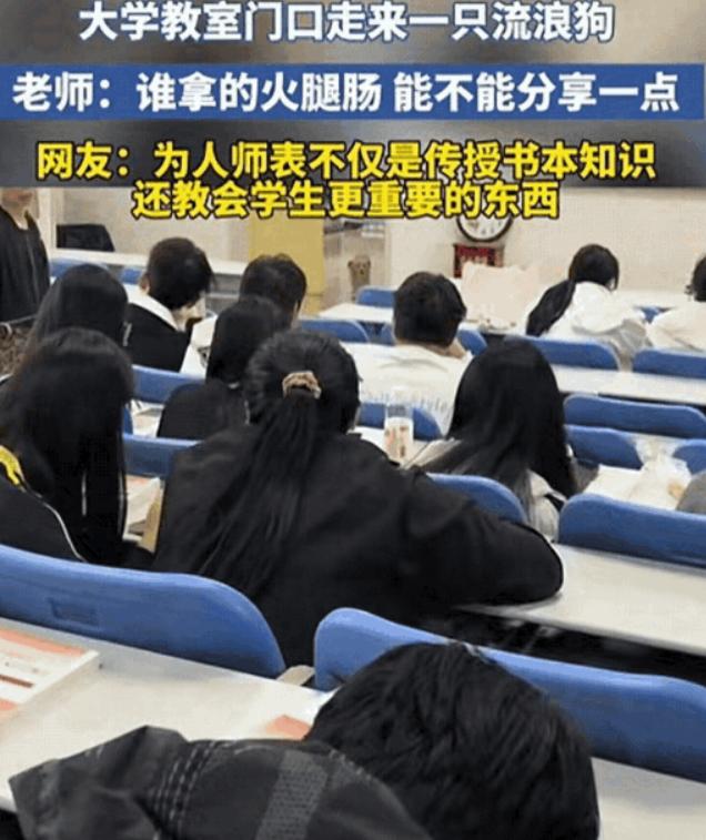 陕西某大学教室门口一名老教师正在给学生上课，突然，一只流浪狗出现在教室门口，学生