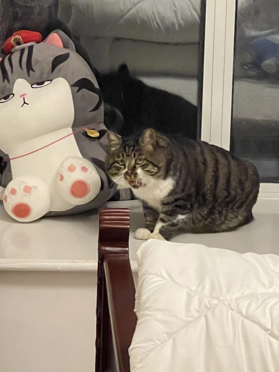 这几张在我心中封神 百看不厌的 太可爱了