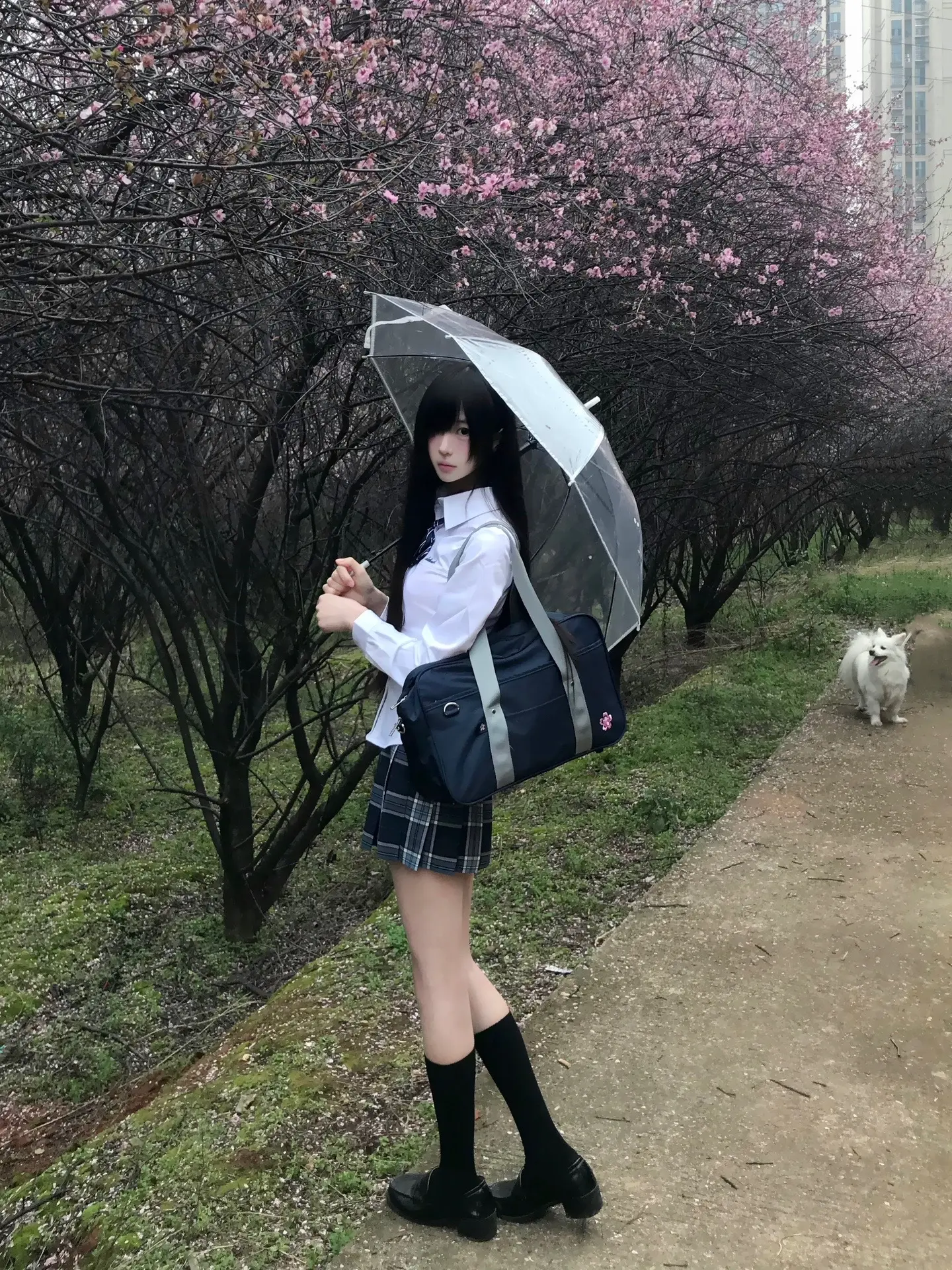 你在的话我的世界就少了很多阴天日系