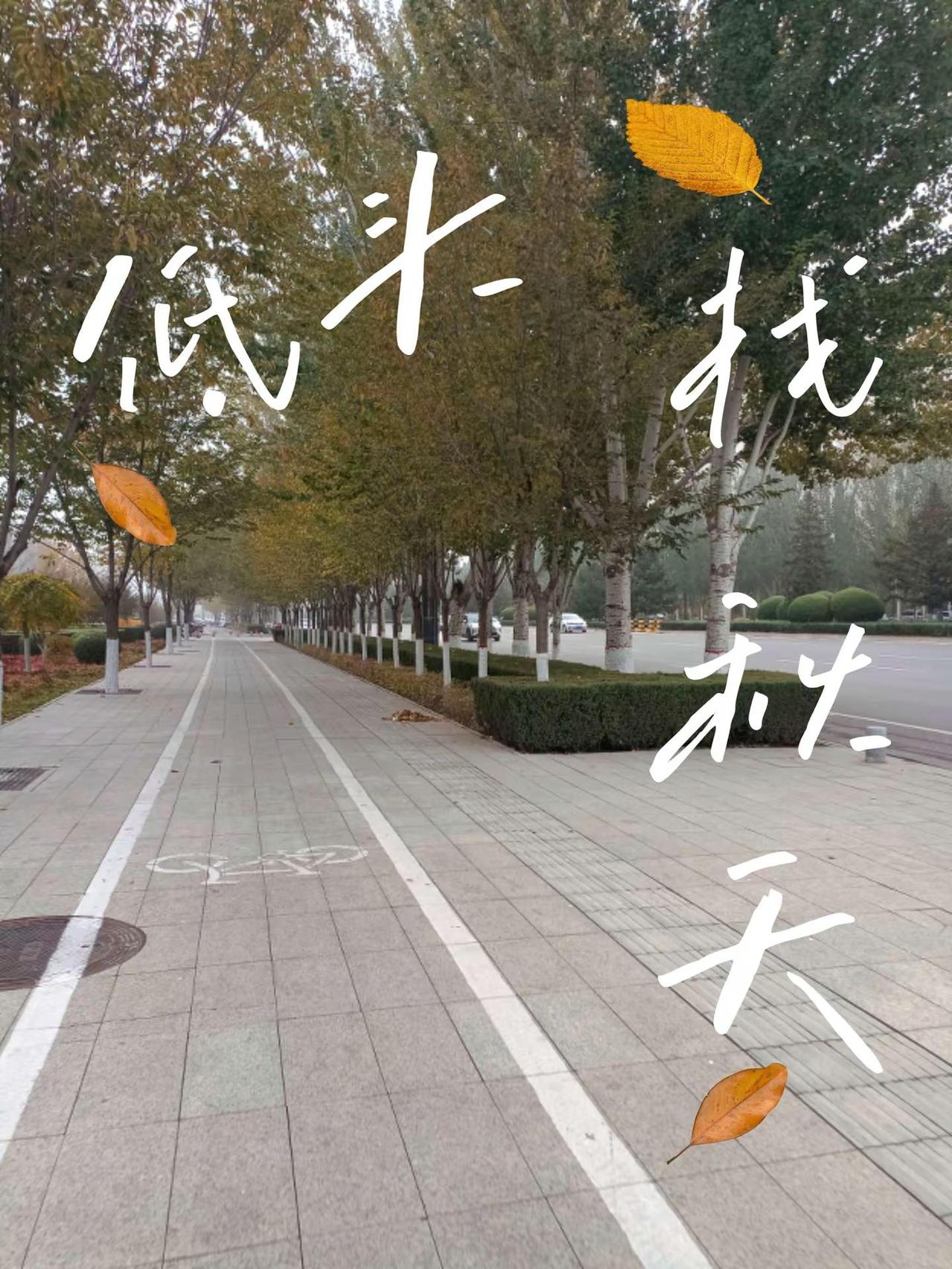 玩法合伙人计划 创意玩法文案集