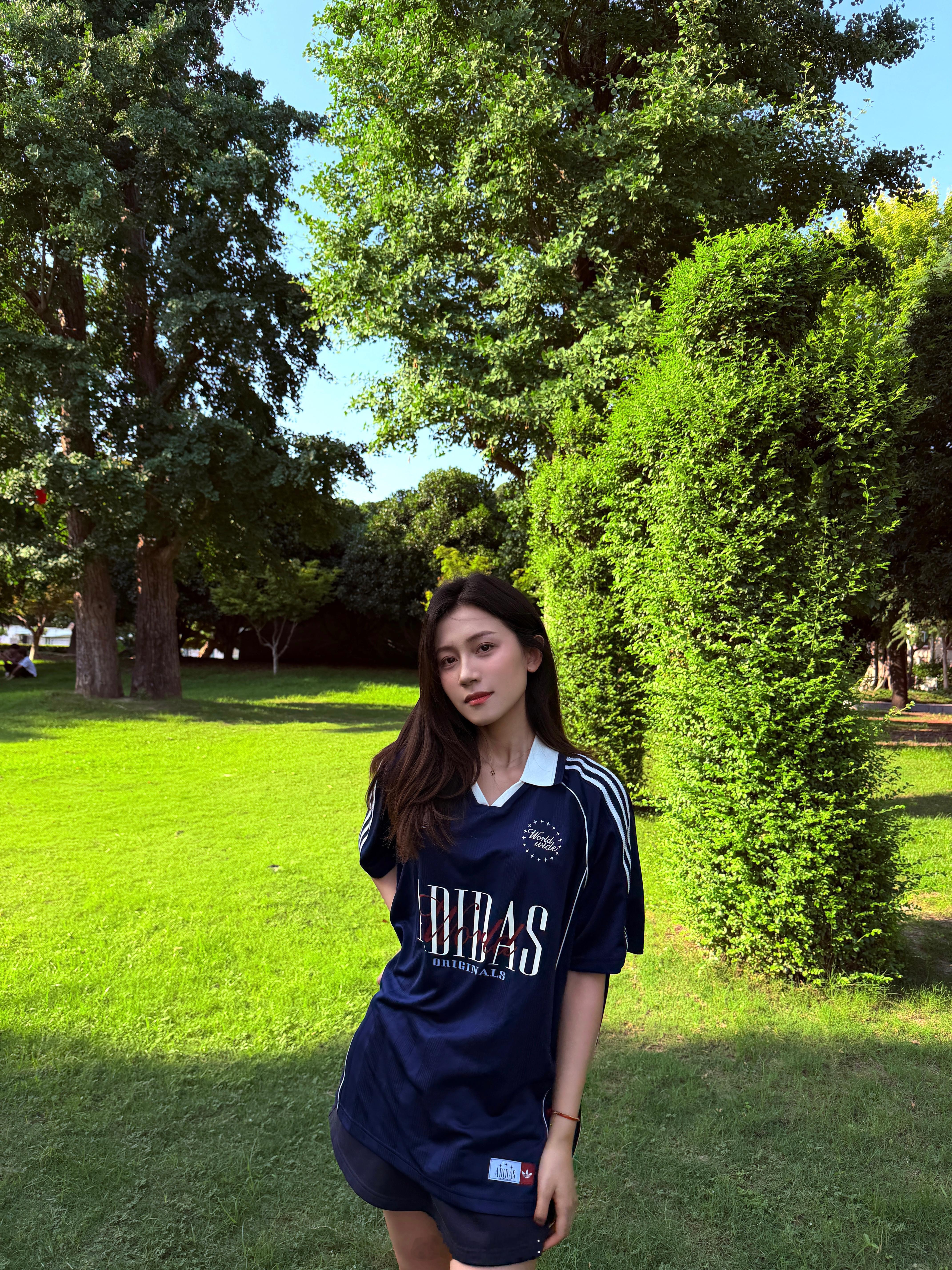 🌳 
