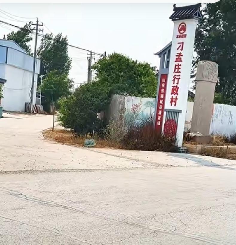 郓城县潘渡镇刁孟庄
刁孟庄位于县城西北10公里处，东与潘渡相连，西靠金堤，南与后