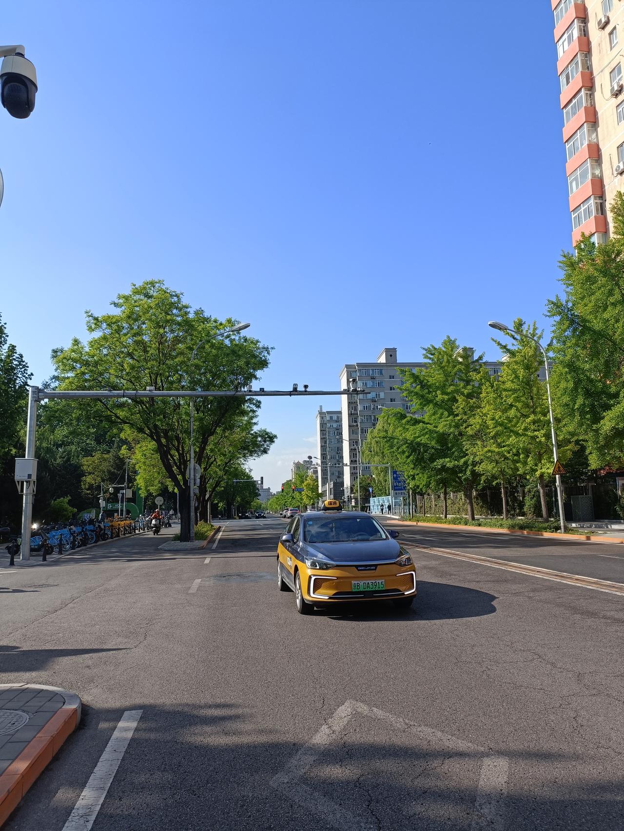 春日生活打卡季 今天这空气好得没话说，蓝天白得透亮，白云软乎乎的，绿树也在微风里