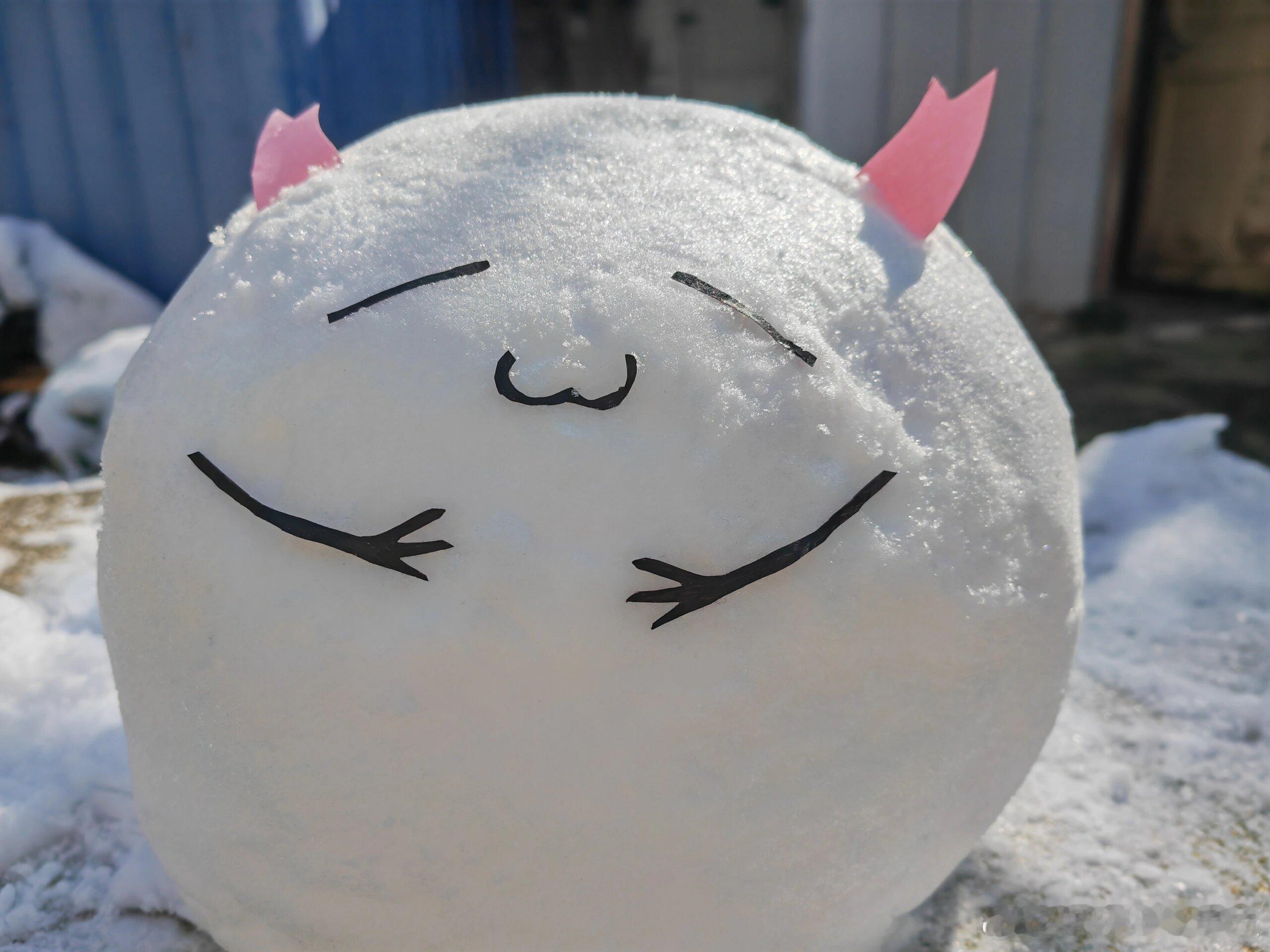 满分茨球！诞生于今年一月温州大雪[爱慕] ​​​