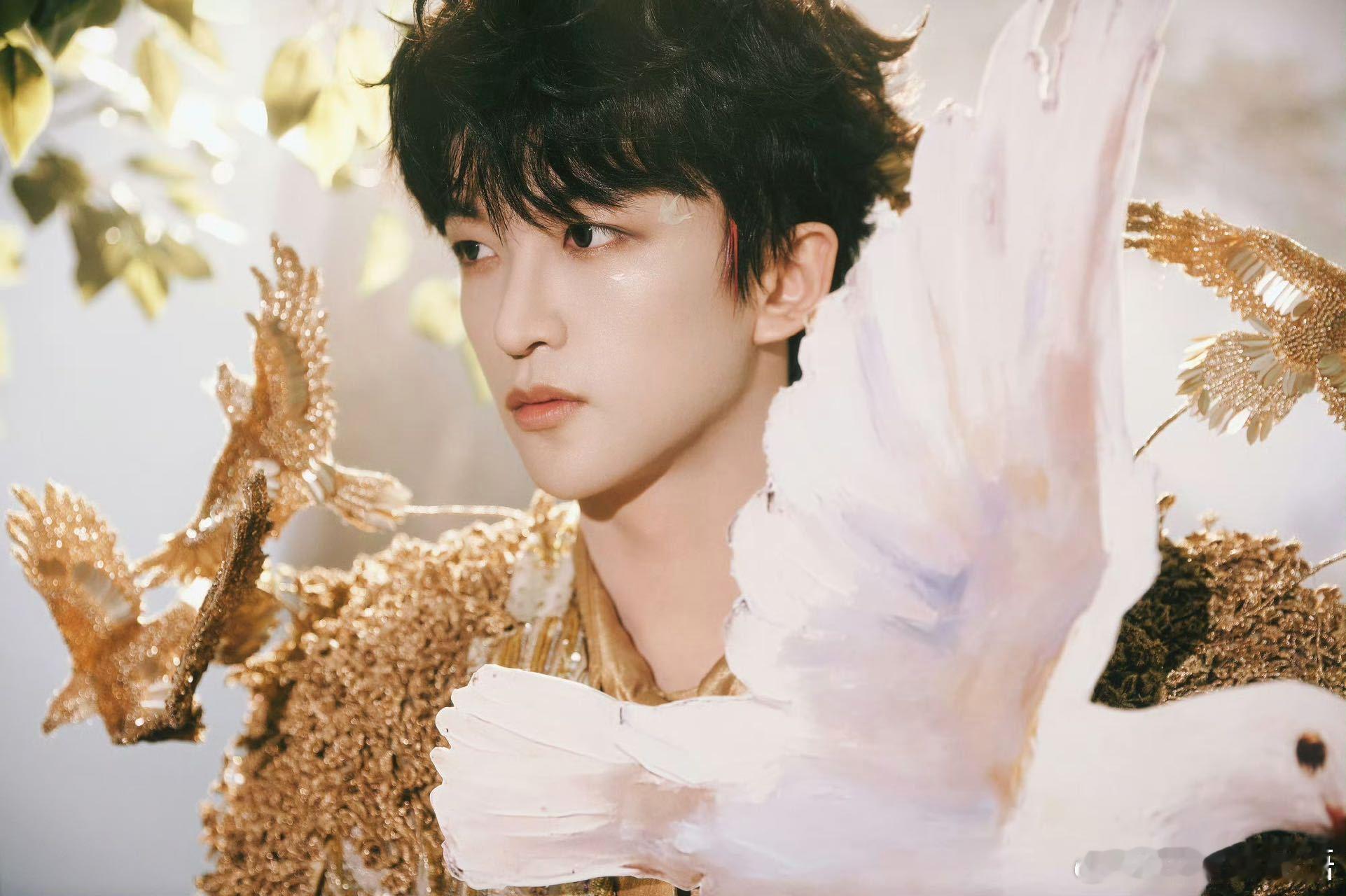 黄子弘凡鸟巢演唱会定档  要的鸟巢之约，终于如约得到！从默默努力到万众瞩目，这个