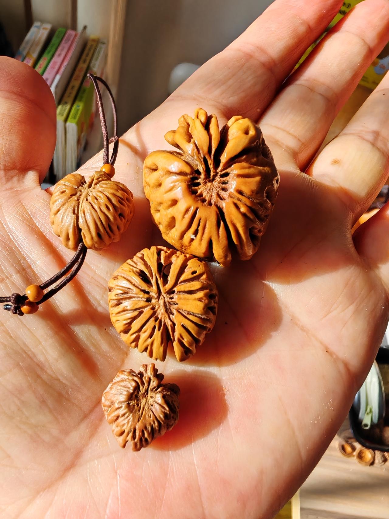 我珍藏的蟠桃核！
大与小，都非常美丽！
盘在手中
如抚摸岁月的痕迹
如蕴养自己的