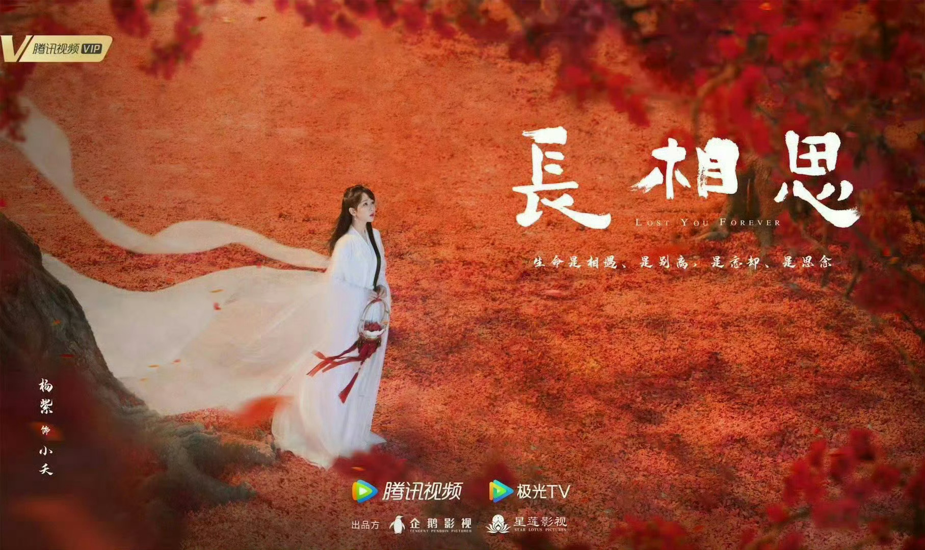 是不想吗？ ​​​