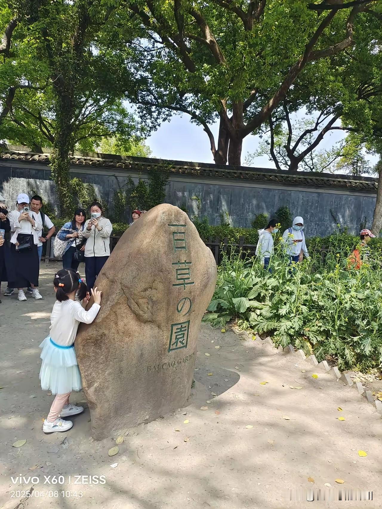 长假第一天，绍兴鲁迅故居游人如织，络绎不绝的探访者，皆是对先生发自心底的敬仰。