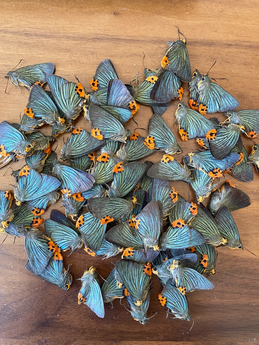 囤货的快乐水懂啊