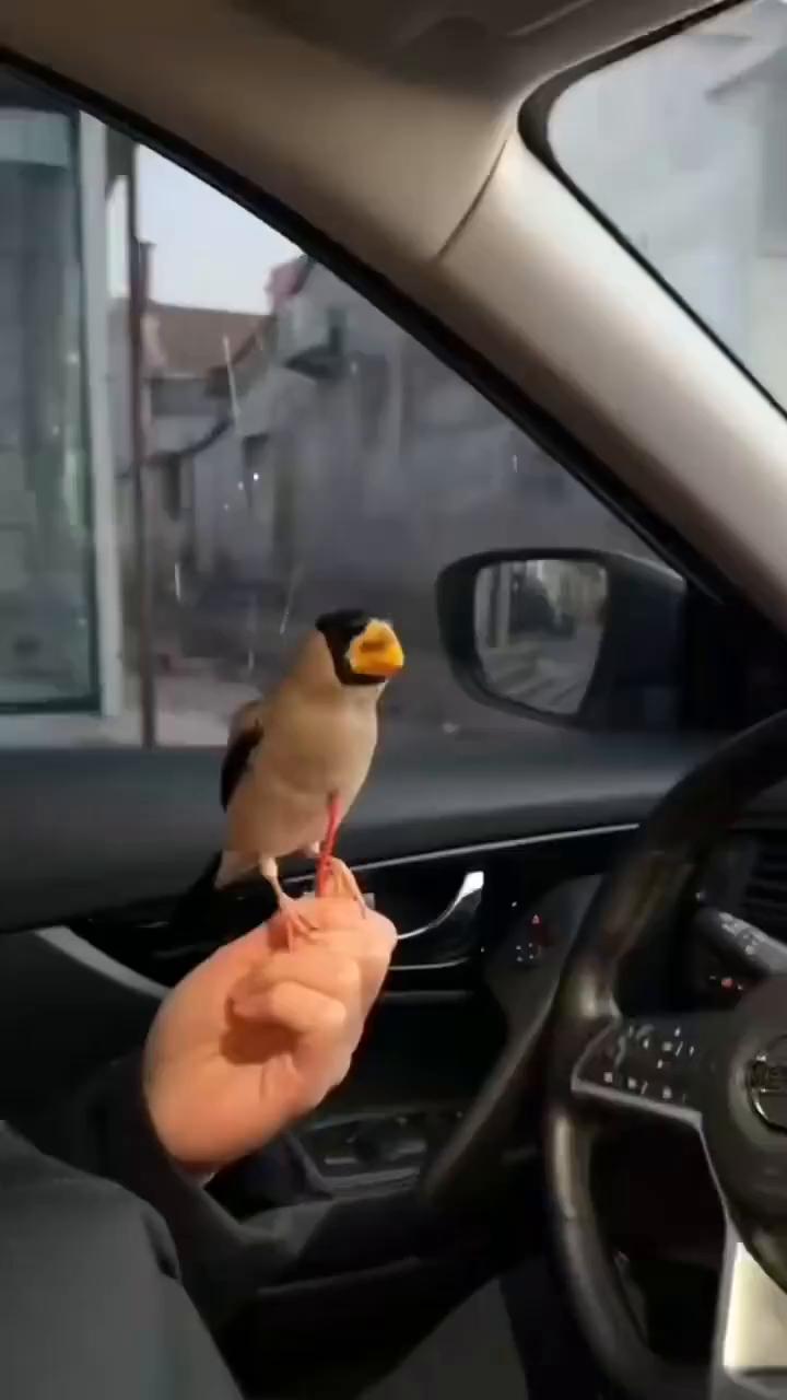 这波操作都看傻了。