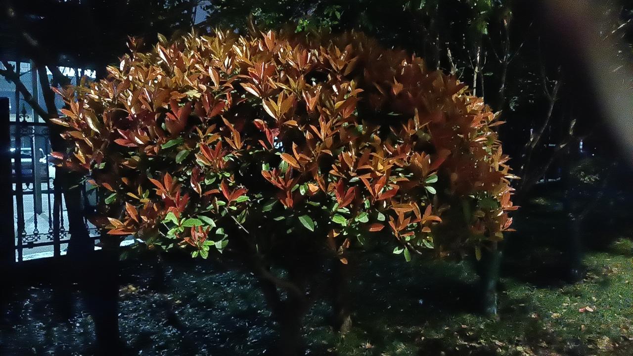 在广袤的中华大地上，“一天吃几顿正餐”的答案并非一成不变，它在历史长河里流转，在