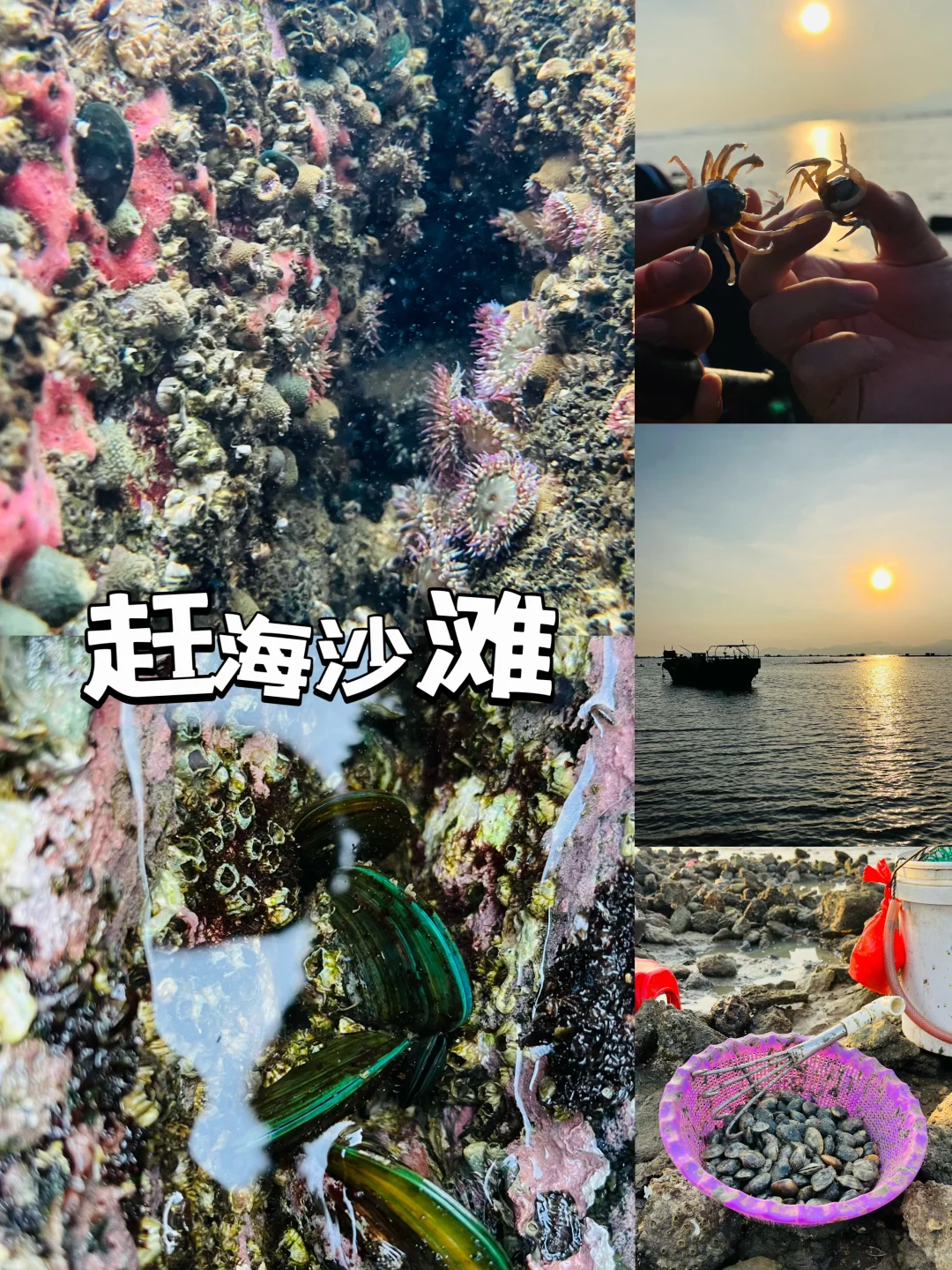 被误解的阳江水鱼岛