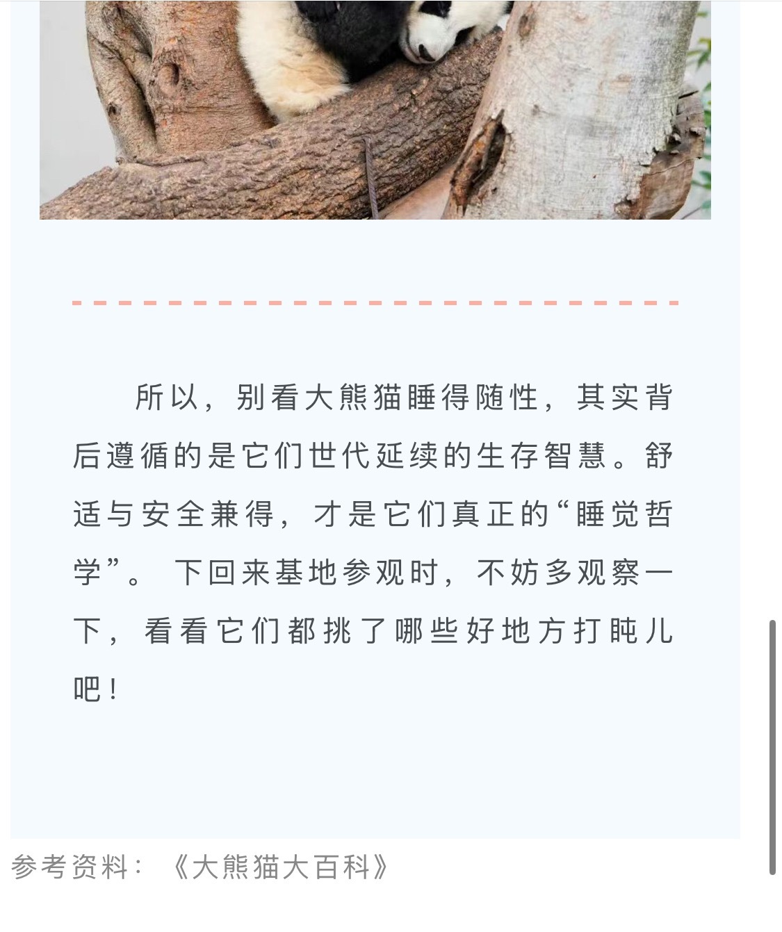 萌兰  早在2026年4月25日，成都大熊猫繁育研究基地就有发过《大熊猫对于睡觉