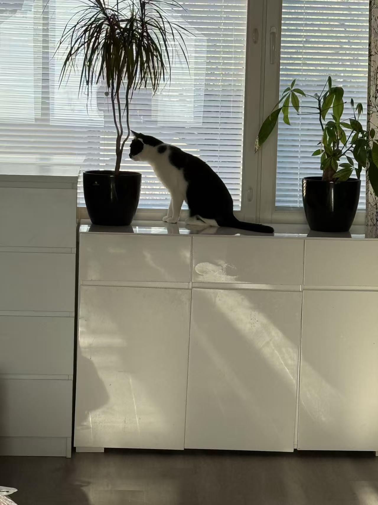 昨天发生了一点小事，就忘了发Happy到家的消息，让大家担心了不好意思！
上海到